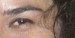 24-12-08-2-olho-dri